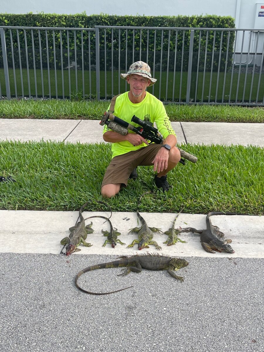 Iguana Gone technician with multiple iguanas removed from a South Florida property in a single visit