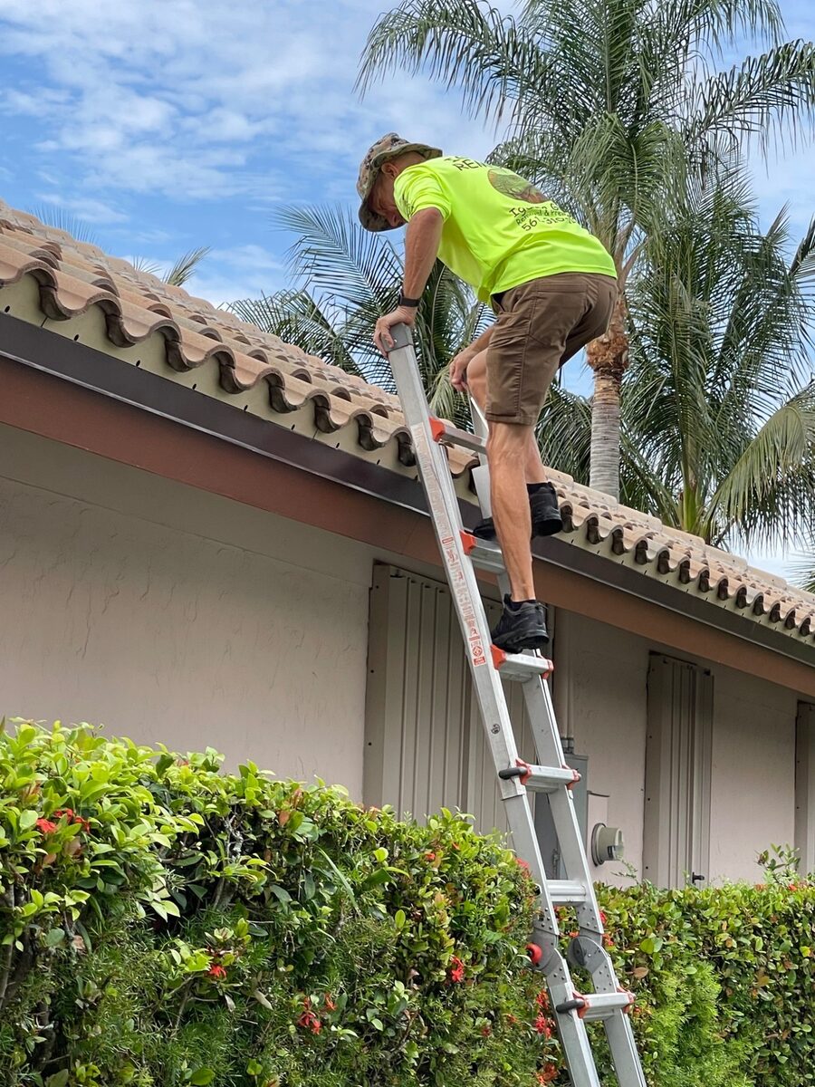 Professional iguana removal technician accessing a tile roof in South Florida