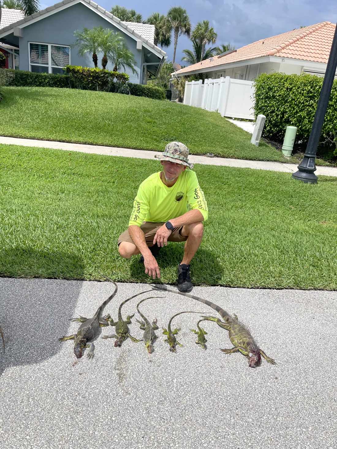 Iguanas removed from a residential property in Boca Raton, Florida